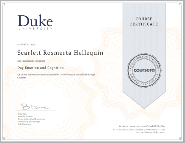 letti-dog-emotion-and-cognition-course-certificate