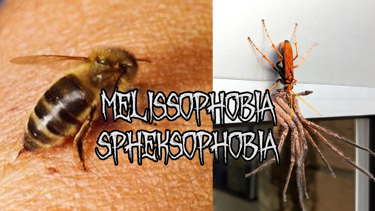 The interesting subject of Phobias Letti's Life